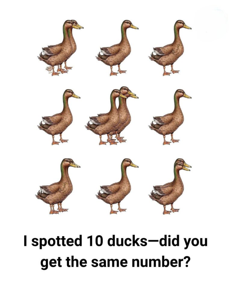 How Many Ducks Can You Count in the Following Picture? If You Count 10, You’re Not Alone. But You’re Wrong