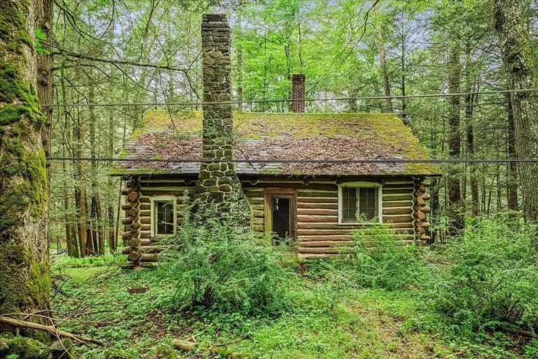 Log Cabin Retreat for Sale in Stroudsburg, Pennsylvania