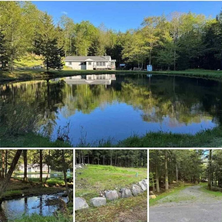 Serene 10-Acre Escape in Historic Willowemoc – Where Nature Meets Comfort