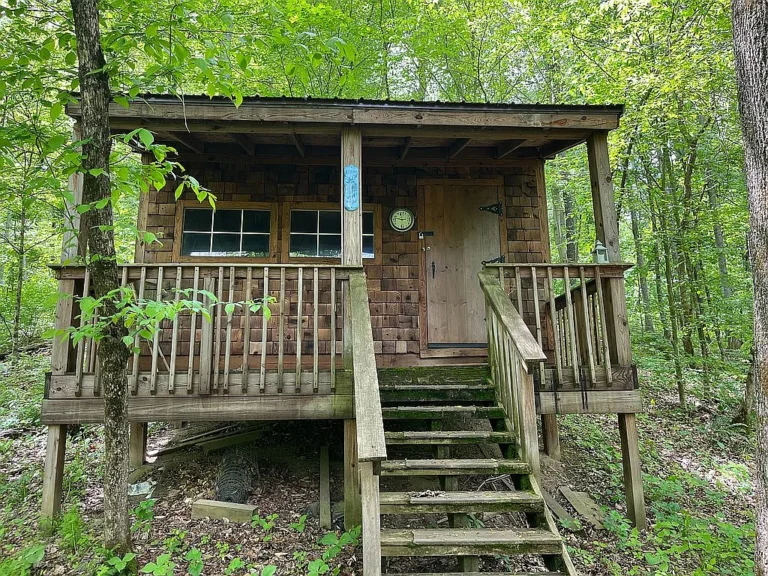 47.75± Wooded Acres with Primitive Cabin