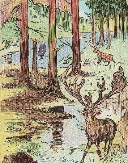 There is a Great Danger! Sat All Day Still Cannot Find the Hunter. Can You Find Him?