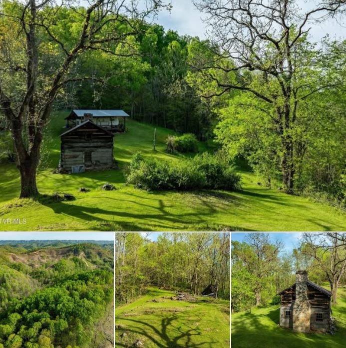 Private 62.6-Acre Parcel for Sale in Duffield, VA
