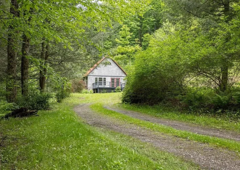 Back to Nature: A Cozy Cabin Getaway in the Heart of Wellsboro’s Scenic Hills