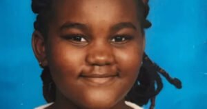 CBDfx Gummies With Mushrooms - Ideal for Immunity Boost