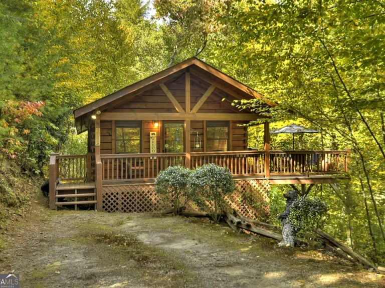 Cozy 1BR Cabin in the Heart of Blue Ridge – Seasonal Mountain Views