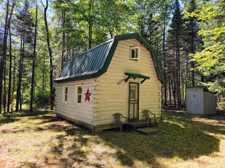 Charming Two-Story Log Cabin Retreat on 2.2 Wooded Acres