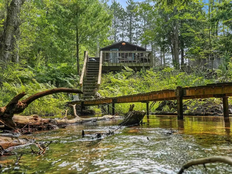 Step Back in Time – 1890s Rustic Log Cabin on Chase Creek $149,900