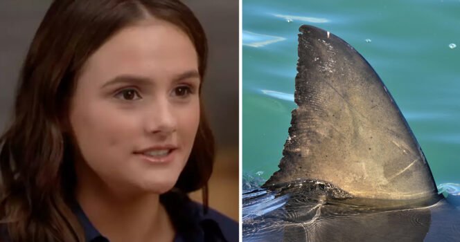 Teen who lost limbs in horrifying shark attack reveals last thing she heard before being bitten
