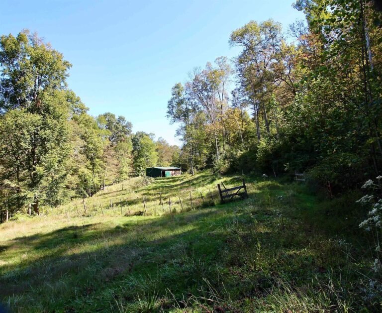 84-Acre Property with Two Homes and Farm Structures in Salt Rock, West Virginia