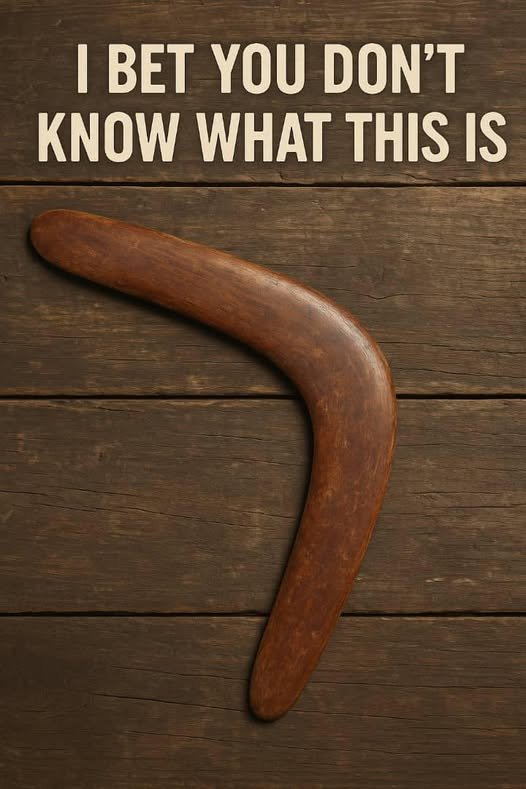 It Was Hidden for Decades, and What We Found Left Everyone Speechless