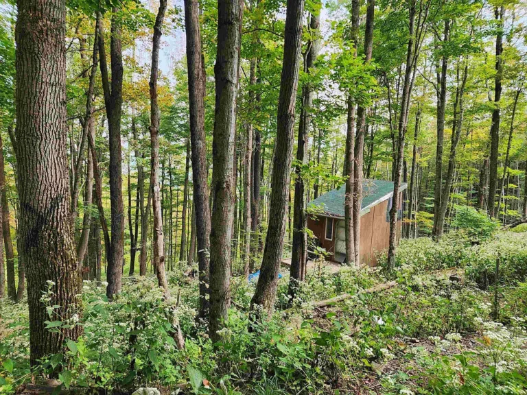 Peaceful Country Lot with Shed
