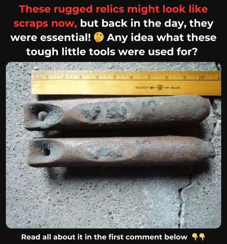 Did This Item Once Sit in Your Home? You Might Be Surprised by Its Ingenious Purpose