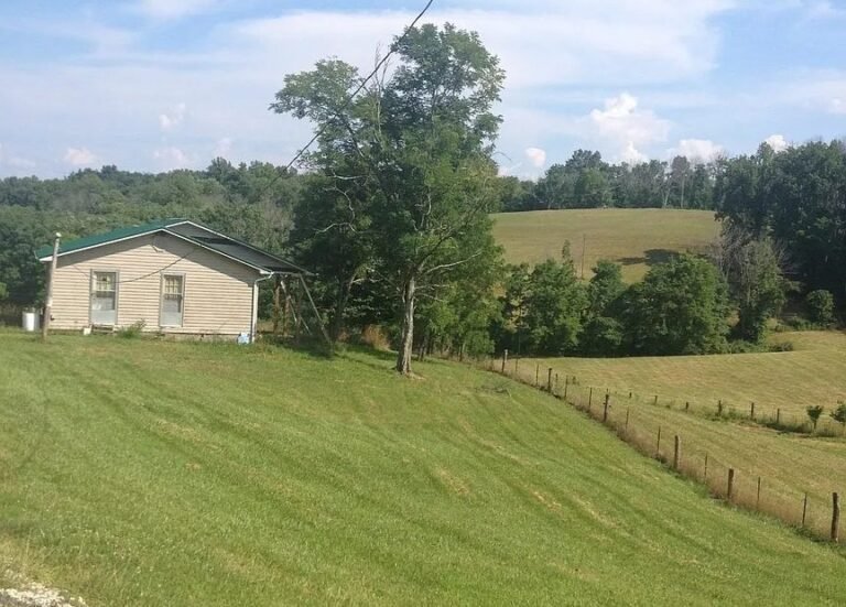 Rustic Cabin Property with 57.43 Acres in Genoa, West Virginia