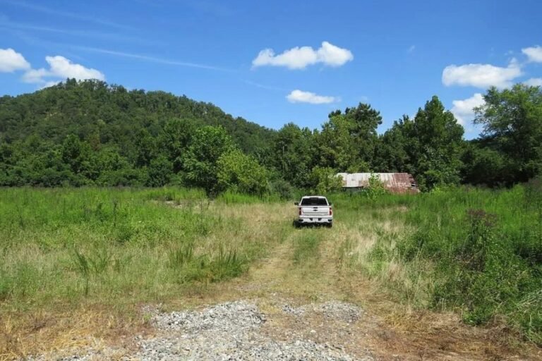 Vacant Land with 99 Acres in Paintsville, Kentucky