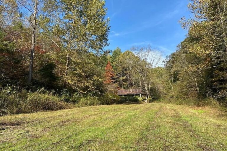 Vacant Land with 56 Acres in Jackson, Kentucky