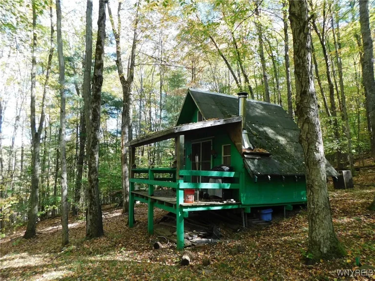 Quaint Cabin Through the Woods