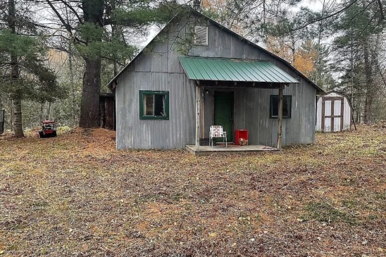 Cabin with 134 Acres in Kenton, Michigan