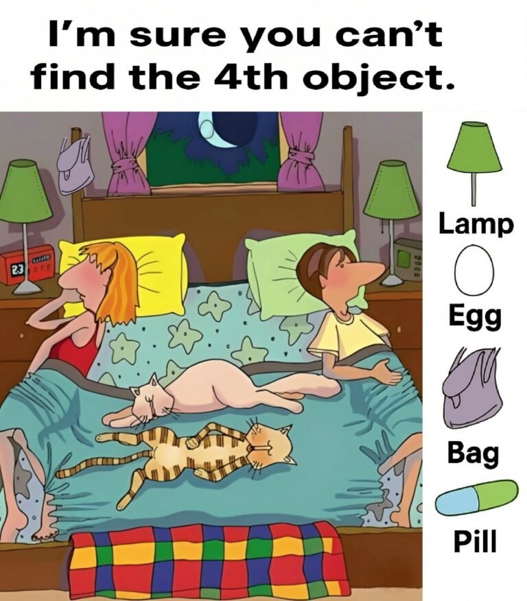 Find lamp, comb, nail, pill.