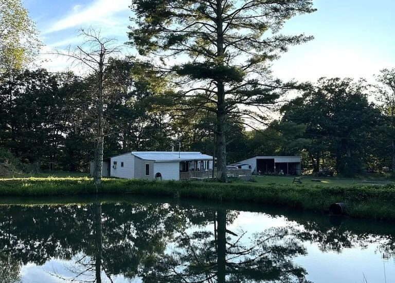 Cabin with 77.5 Acres in Renick, West Virginia