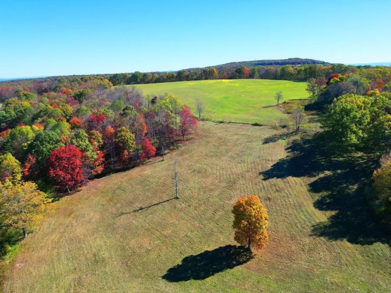 Rare West Virginia Land Auction Opportunity