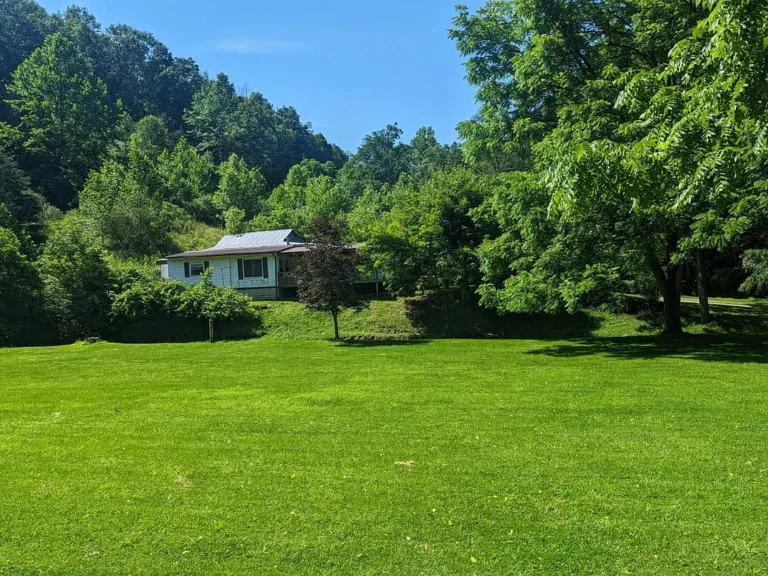 38-Acre Country Homestead with Multiple Structures, Marketable Timber