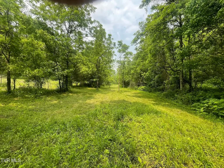4 Unrestricted Acres Near the Clinch River