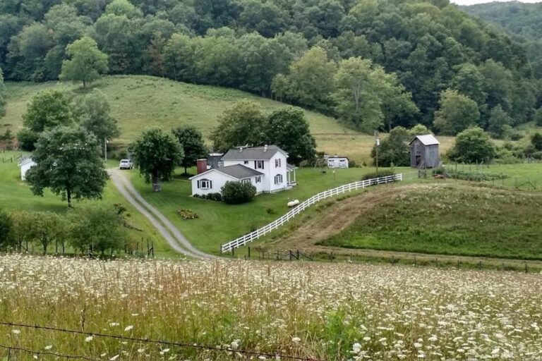 Farmhouse on 318 Acres in Wayside, West Virginia