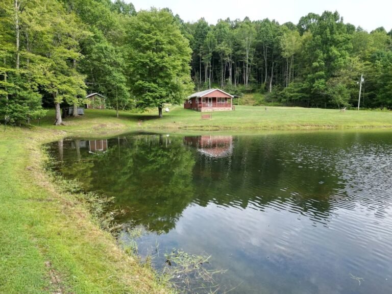 Off-Grid Living with a Pond on 11+ Acres in Cave, West Virginia