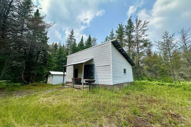 Saltbox Cabin with 80 Acres in Seney, Michigan