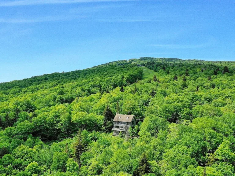 27 Acres of Pure Potential