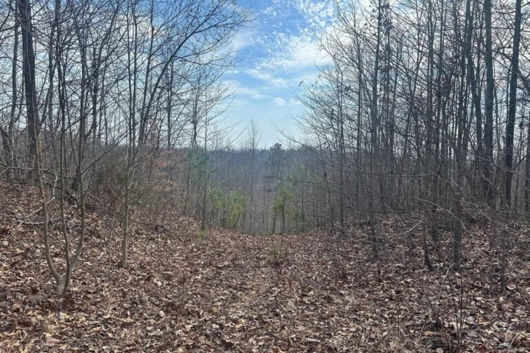Land with 175 Acres in Blaine, Kentucky