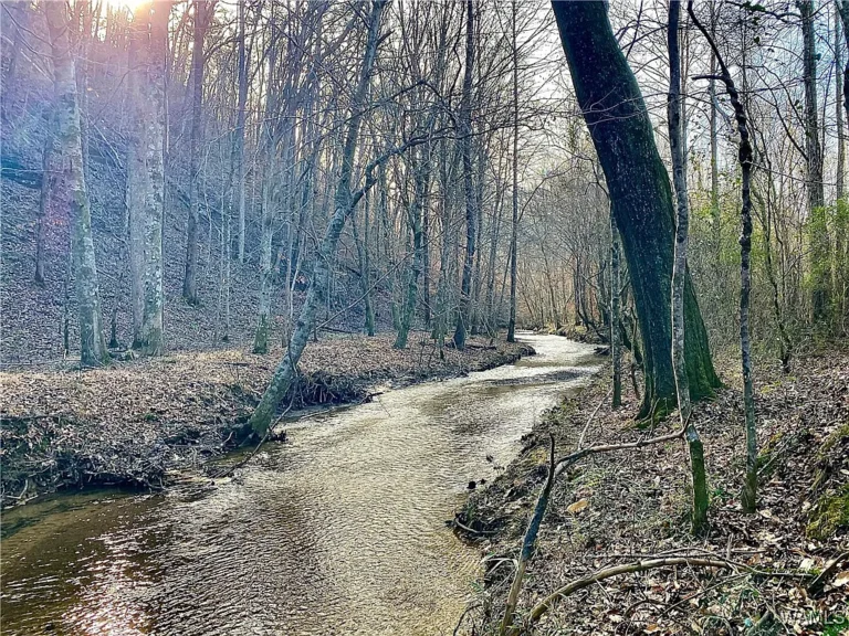 57 Acres with Creek – No Restrictions