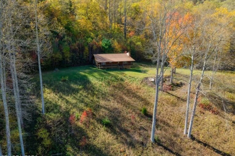 Cabin with 103 Acres in Roan Mountain, Tennessee