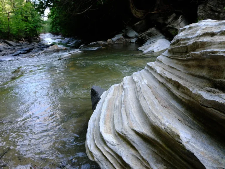 Enchanted Forest Retreat – 110.5 Acres of Absolute Privacy and Natural Beauty