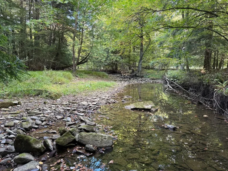 Scenic Hillside Property with Native Trout Stream