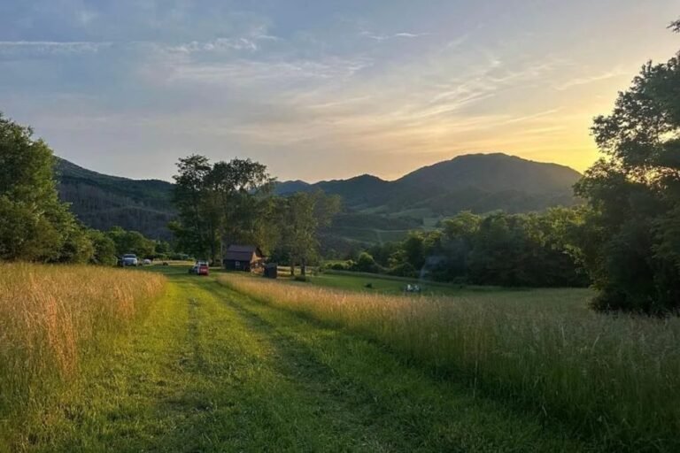 Expansive 59.42-Acre Property in Tazewell, Virginia