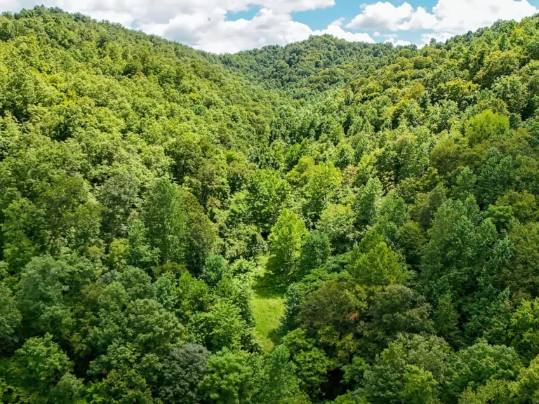 A Timeless 100± Acre Kentucky Wilderness Sanctuary in Girdler