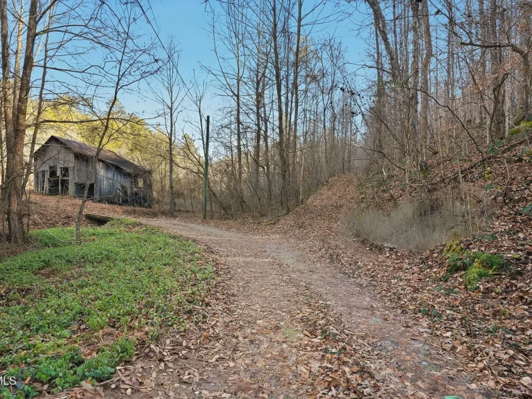 153 Acres of Secluded Mountain Land Near Gate City, Virginia