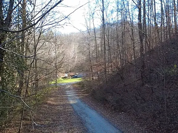 Prime Land with Utilities, Road Access, Timber Potential & Endless Opportunity