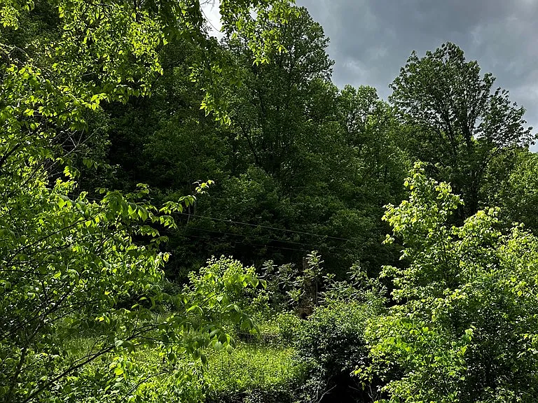 Looking for Land with Endless Potential? Discover This Expansive Property Near Hal Rogers Parkway!