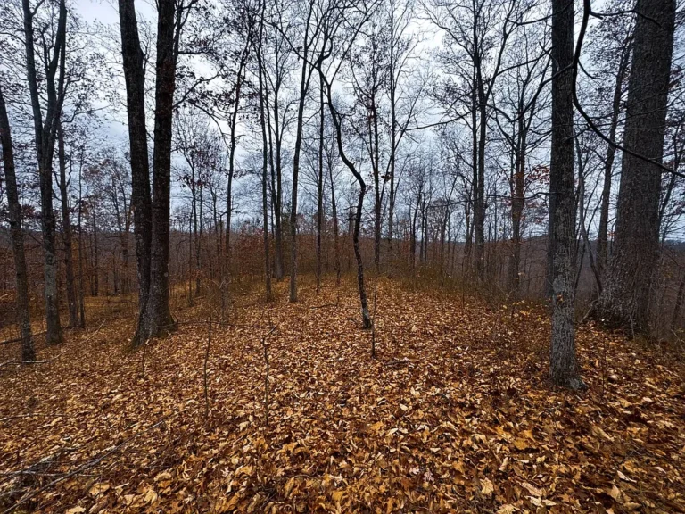 A 100± Acre Outdoor Paradise in the Heart of Ritchie County, West Virginia