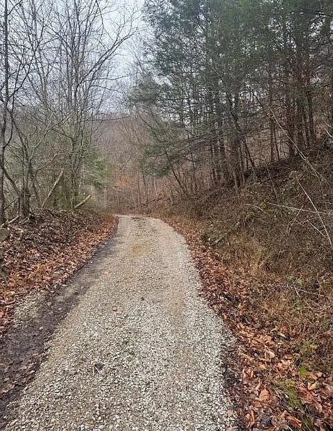 Land with 126 Acres in Helton, Kentucky