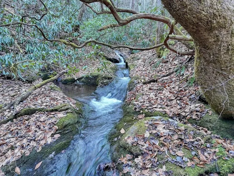 7.69 Acres of Unrestricted Mountain Land with Creek in Cherokee County, NC