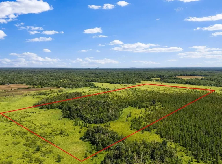 Prime 79.83-Acre Wildlife Haven in Clark County