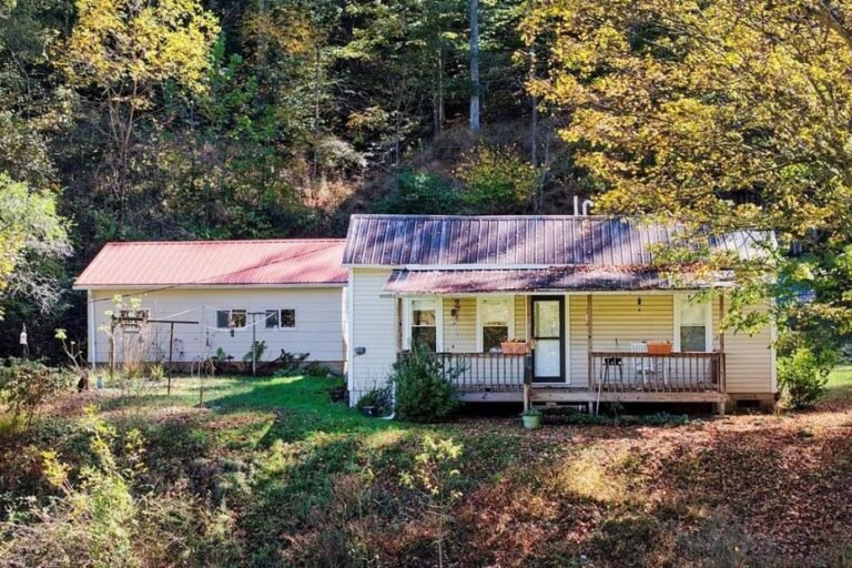 House with 115 Acres in Alma, West Virginia