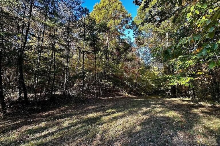 Land with 50 Acres in Saint Marys, West Virginia