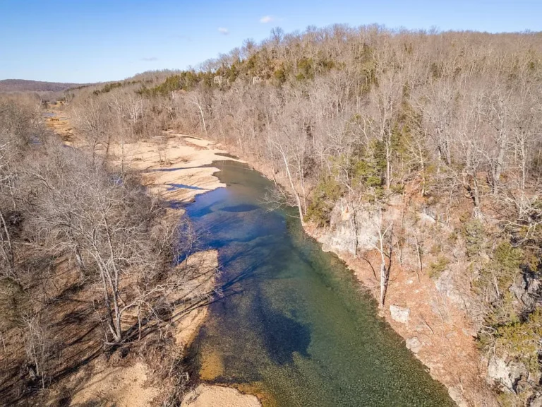 96± Acres Offered at Online Auction – Live Water, Timber, & National Forest Adjacency