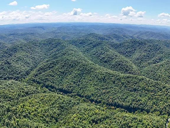 100± Acres of Untouched Kentucky Wilderness in Girdler, KY