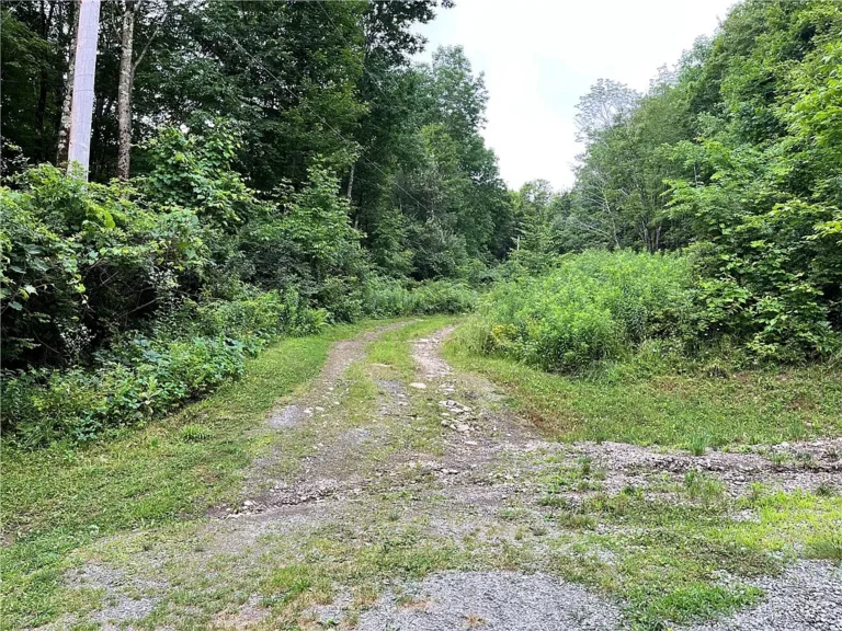25 Acres of Catskill Wilderness Retreat