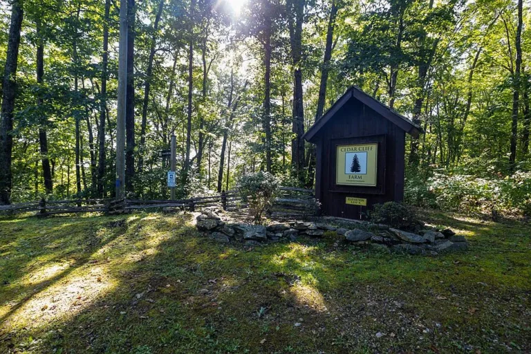 Build Your Mountain Dream – Multiple Lots Available in Gated Cedar Cliff Community